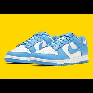 Nike sb dunk low “coast”